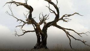 undefined Images